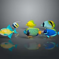 Colorful Tropical Fish in Vibrant Yellow Blue Green Hues on Gray Background with Clear Reflections