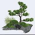 Japanese Style Courtyard Garden With Pine Tree Bushes Stones And Gravel