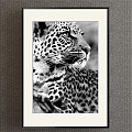 Modern Animal Painting Simple Black and White Children's Room Animal Leopard Decorative Painting 3d model