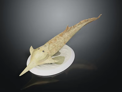 Detailed Fish Model with Long Snout Slender Body and Textured Surface on White Base 3d model