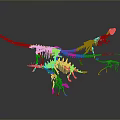 Colorful Dinosaur Skeletons Of Various Species In Museum Display Setup