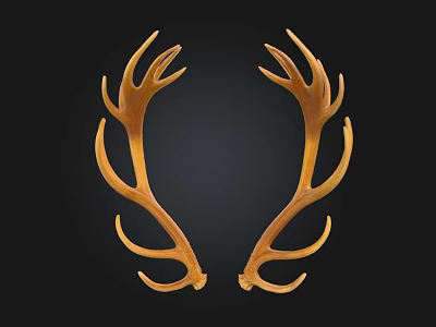 Pair of Symmetrical Brown Deer Antlers As Decorative Art Piece 3d model