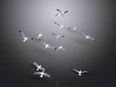Flock of Seagulls Flying in Dynamic Formation Against Gray Background 3d model