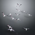 Flock of Seagulls Flying in Dynamic Formation Against Gray Background