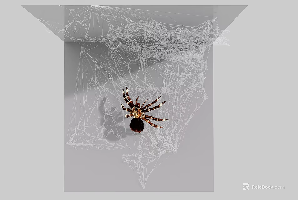 Reptile Lizard Resting On Intricate Spider Web In Natural Habitat 3d model 