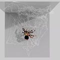Reptile Lizard Resting On Intricate Spider Web In Natural Habitat