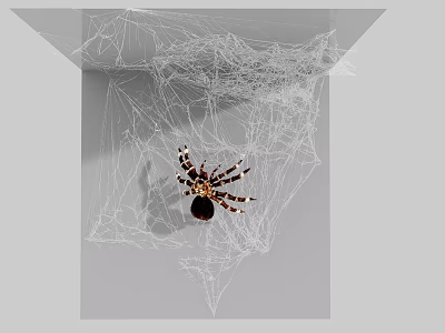 Reptile Lizard Resting On Intricate Spider Web In Natural Habitat 3d model