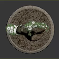 Potted Plant with Curved Trunk Green Leaves and White Flowers in Ceramic Pot Dark Background