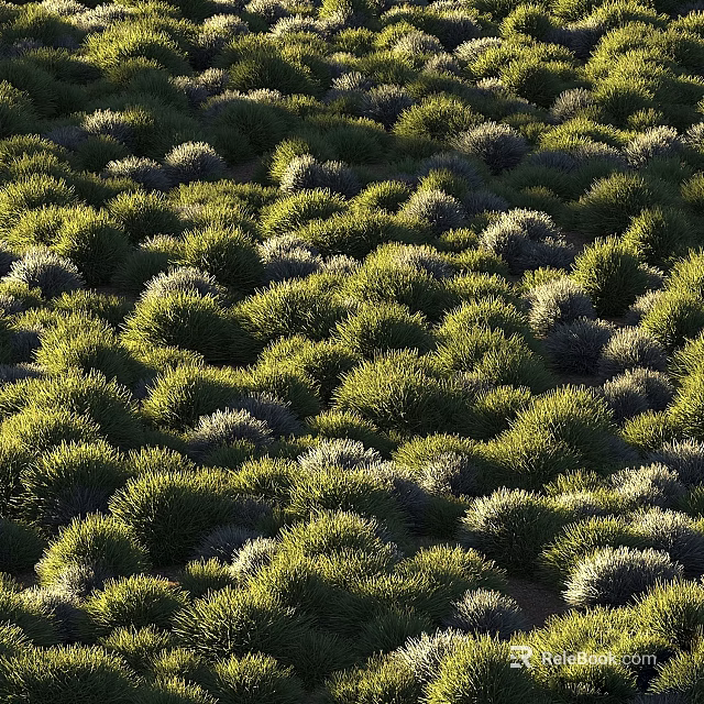 Thriving Lush Flowers and Plants in Dense Clustered Bushes Natural Growth 3d model 