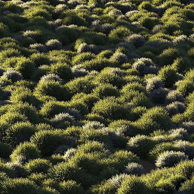 Thriving Lush Flowers and Plants in Dense Clustered Bushes Natural Growth 3d model