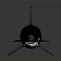 Orca Whale With Black And White Coloration Open Mouth And Dorsal Fin On Smooth Surface