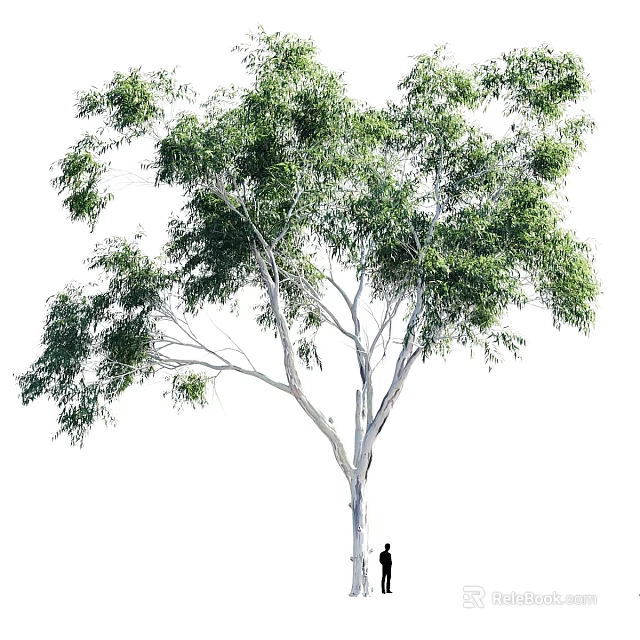 Garden Ornament Featuring Large Tree With White Trunk And Lush Green Leaves 3d model 