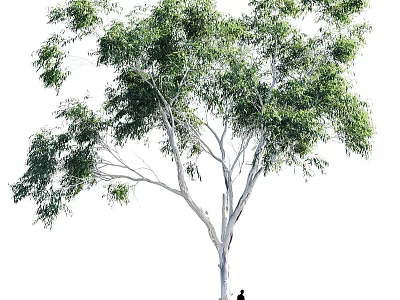 Garden Ornament Featuring Large Tree With White Trunk And Lush Green Leaves 3d model