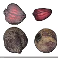 Fresh Raw Beets Whole And Sliced Red Root Vegetables On White