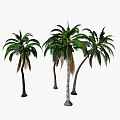 Lush Tropical Palm Trees With Green Fronds And Coconuts In Natural Scene