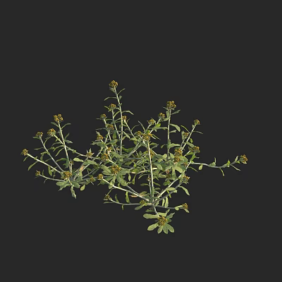 Modern Qingming dish Qingming flower moosa 3d model