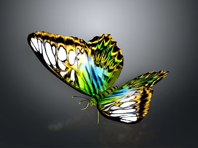 Colorful Green And Blue Butterfly With Yellow Patterned Spread Wings Against Gray Background 3d model