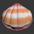 Colorful Clam With Open Pink And Orange Shell Holding White Pearl