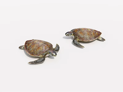 Pair of Sea Turtles With Brownish Shells Swimming Gracefully In Ocean Water 3d model