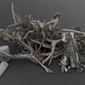 Pile of Dry Plant Roots and Branches With Wooden Stumps in Natural Setting