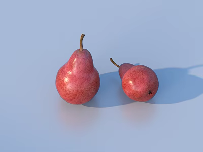 Two Fresh Red Pears Large and Small on Light Background with Shadows 3d model