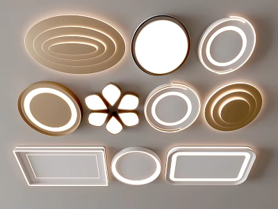 Stylish Modern Ceiling Lights With Circular Oval Square And Flower Shaped Designs 3d model