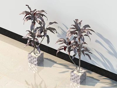 Decorative Bonsai Plants with Purple Green Leaves in Stone Planters Indoor Setting 3d model