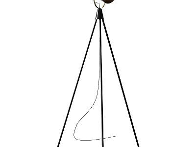 Modern Tripod Floor Lamp With Round Light Head For Living Room Decor 3d model