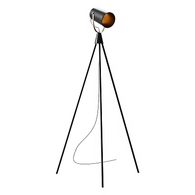 Modern Tripod Floor Lamp With Round Light Head For Living Room Decor 3d model