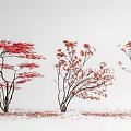 Three Red Leaf Arbor Trees With Falling Leaves On White Background 3d model