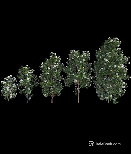 Multiple Flowering Trees With White Blossoms And Green Leaves In Various Heights 3d model 