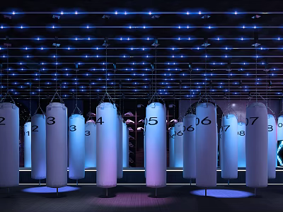Well Equipped Fitness Training Studio With Numbered White Punching Bags And Blue Lighting 3d model