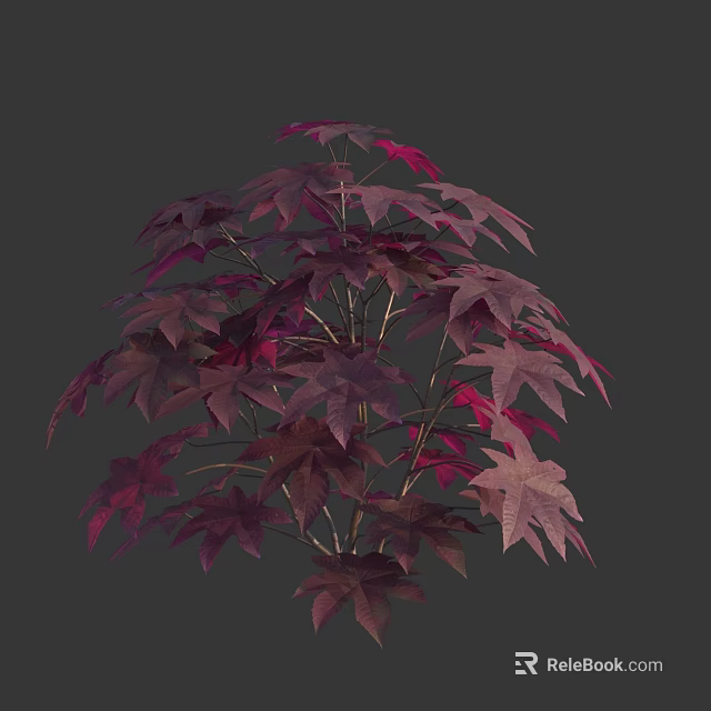 Vibrant Purple Red Leaf Shrub With Bushy Branches And Lush Foliage 3d model 