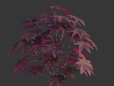 Vibrant Purple Red Leaf Shrub With Bushy Branches And Lush Foliage 3d model