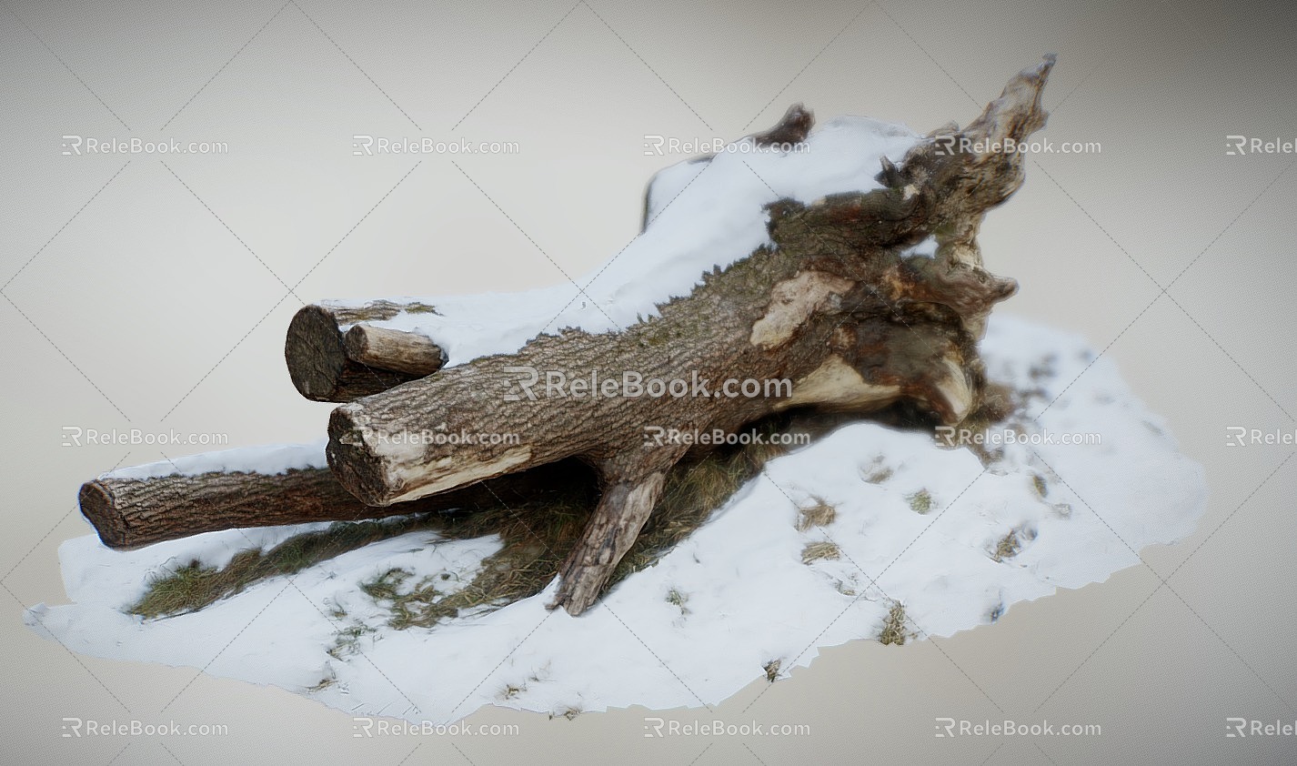 Tree Trunk Collapsed Tree Scanning Trunk Scanning Snow 3d model