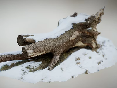 Large Tree Trunk Covered With Snow And Dry Branches On Snowy Ground 3d model