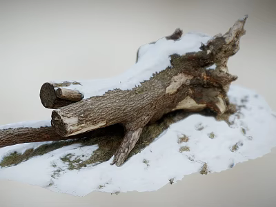 Large Tree Trunk Covered With Snow And Dry Branches On Snowy Ground 3d model Large Tree Trunk Covered With Snow And Dry Branches On Snowy Ground 3d model