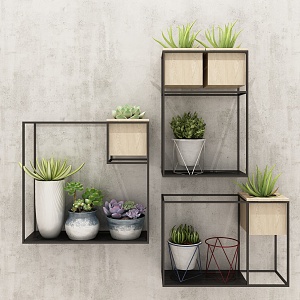 Modern Wall Shelf Plant Bookshelf 3d model