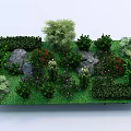 Vibrant Garden Flowers And Plants With Green Shrubs Stones And Colorful Blooms