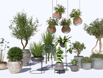 Modern Potted Plant Hanging Basket Green Plant Potted Plant 3d model