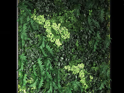 Living Green Wall Design With Lush Ferns Various Plants And Natural Foliage 3d model