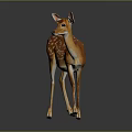 Brown White Spotted Deer With Pink Ears Standing On Dark Background