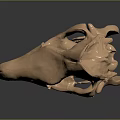Detailed Copper Colored Human Skull Model Anatomical Medical Device For Education Training