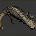 Brown And Beige Chameleon With Bark Like Skin Texture Standing On Dark Background Surface