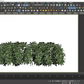 Lush Green Bushes With Dense Foliage And Vibrant Leaves In Garden