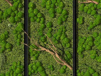 Lush Green Moss Wall Decor With Natural Branches And Vibrant Foliage 3d model