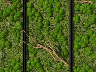 Modern Green Plant Wall Green Plant Wall Moss 3d model