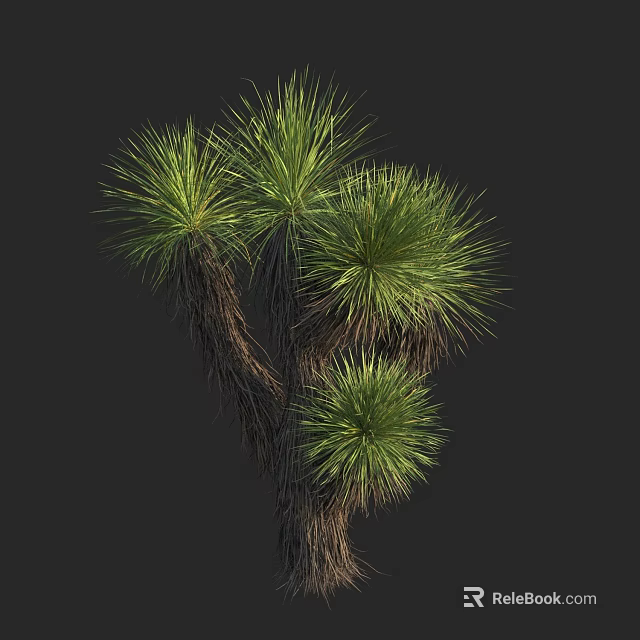 Yucca Plant With Green Long Leaves And Brown Branches On Dark Background 3d model 