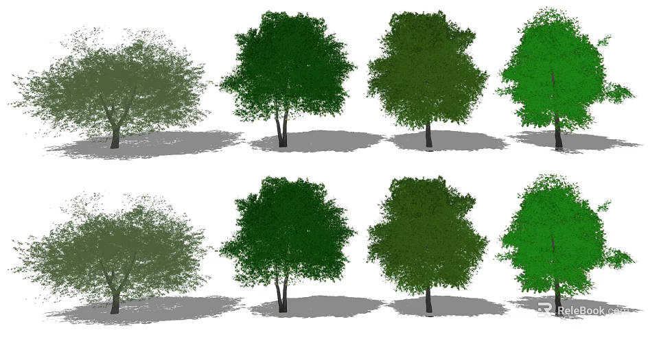 Various Arbor Trees With Different Green Shades And Natural Crown Shapes 3d model 