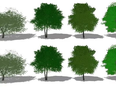 Various Arbor Trees With Different Green Shades And Natural Crown Shapes 3d model